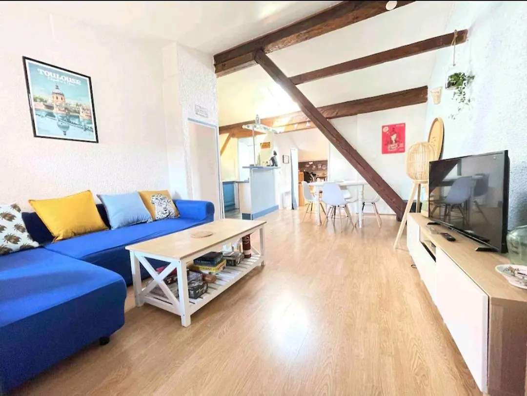 Appartement De Charme Au Coeur De Τουλούζη